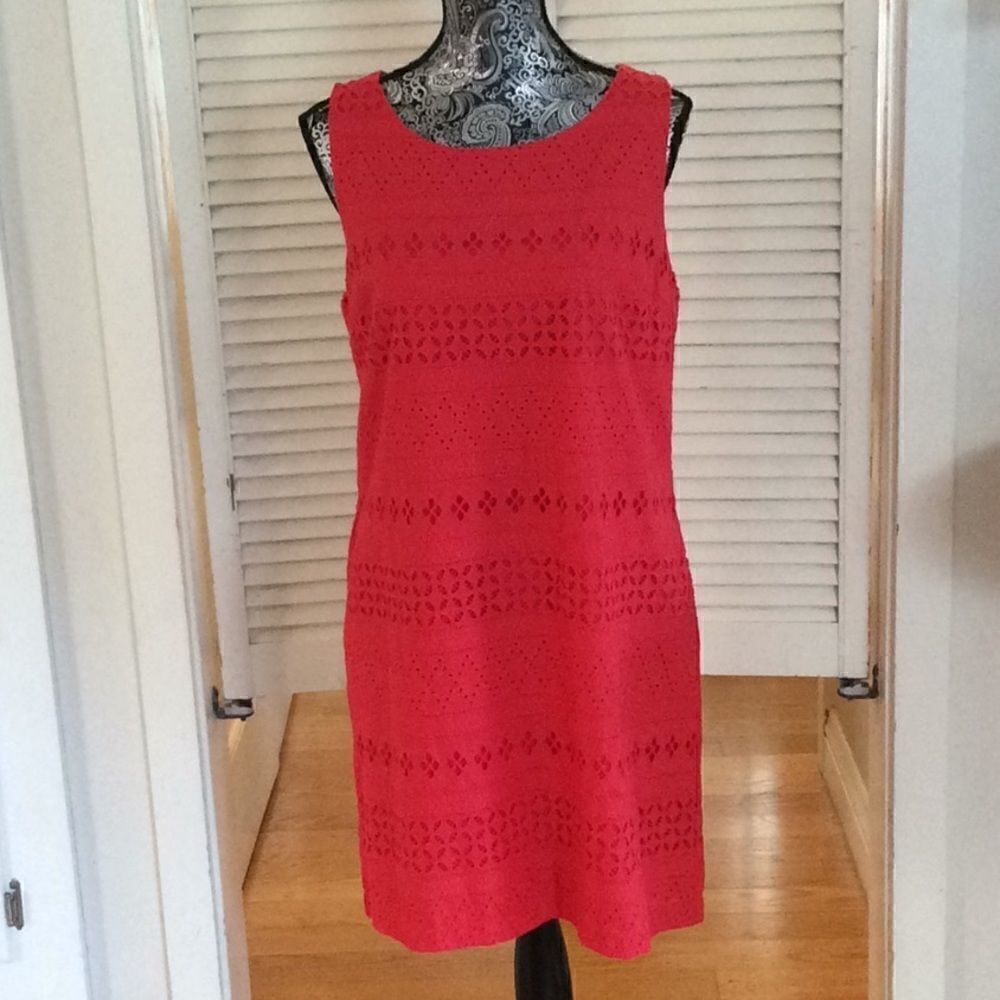 Red hot lace over lining dress 2 pockets zip back